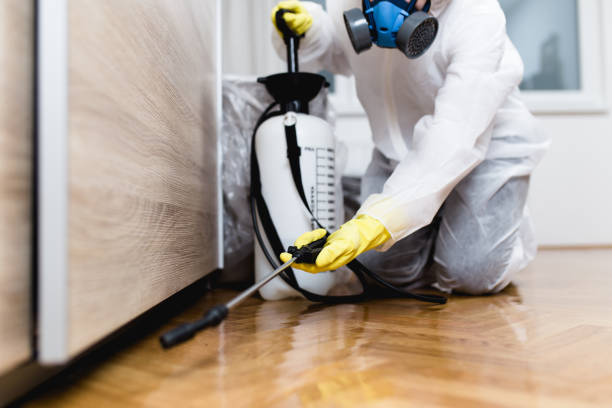 Best Flea Control Services  in Niagara, WI
