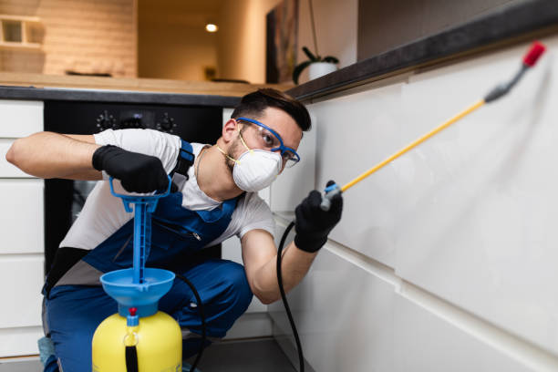 Best Bed Bug Extermination  in Niagara, WI