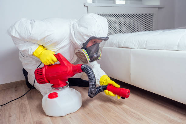 Best Wasp Removal Services  in Niagara, WI