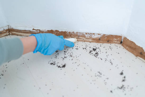 Best Pest Prevention Services  in Niagara, WI