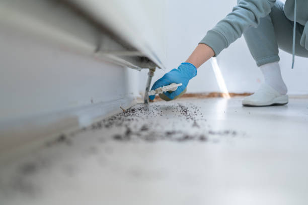 Best Best Pest Control Companies  in Niagara, WI